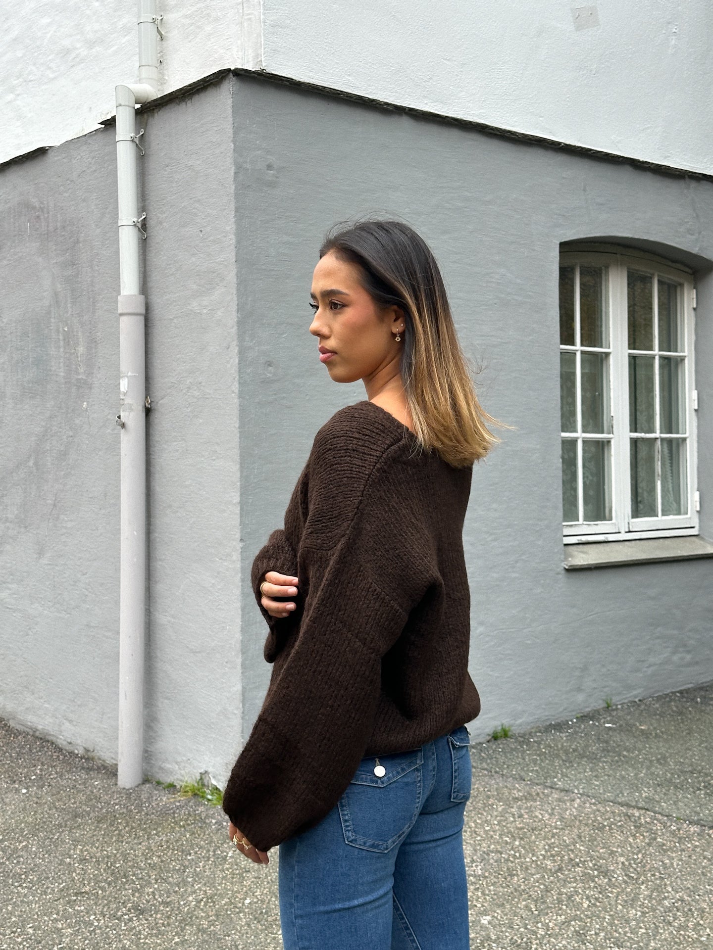 JDYDINEA Pullover - Brun